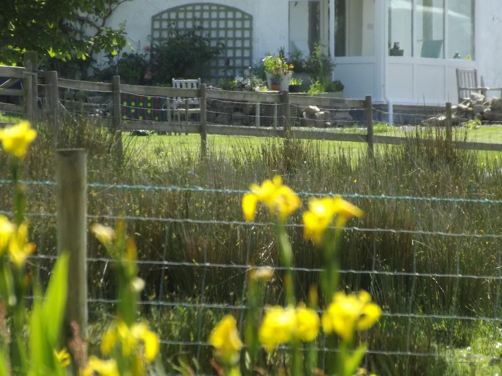 The Swallows Guest House New Quay  Pokój zdjęcie
